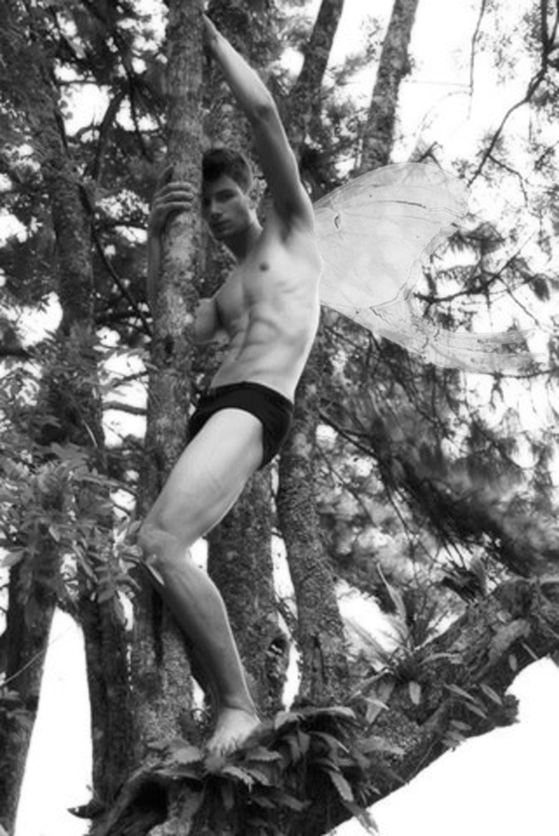 Illustration for article titled Boy Faeries